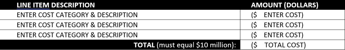 Detailed Budget example